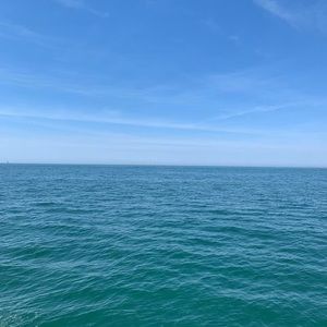 Meet your Posher, Terri